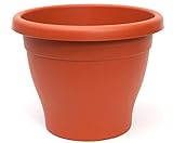 PAMEX Maceta Mediterranea 47cm Ø