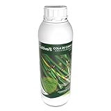 CULTIVERS Cola de caballo de 1 L. Súper concentrado. Bioestimulante Natural Preventivo y Curativo. Acción Fungicida Sustancia Básica Refuerza el Mecanismo Defensa de las Plantas