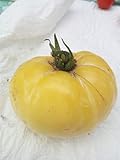 20 semillas de ORGANIC Brandywine tomate amarillo Rare Heirloom Beefsteak no - GMO frescas