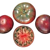 Tomate Cherokee Purple 10 Semillas By Samenchilishop