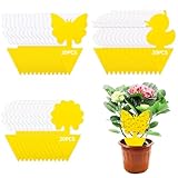 Cirulli 60 Hojas de Trampa Moscas Fruta- 3 Diseños Pegatinas Amarillas Efectivas para Combatir Plagas en Plantas de Interior y en la Cocina, Sin Pesticidas Trampa para Moscas