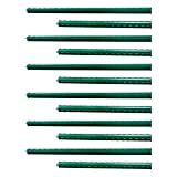 Tradineur - Pack de 12 tutores de Acero plastificado para Plantas, Varillas, guías, estacas para el Crecimiento Correcto de Cultivos, Tomates, judías (Verde - 0,8 x 180 cm)