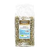 Oltresole, Semillas de Calabaza Ecológicas Decorticadas 1 kg, Semillas Crudas Aceitosas Ecológicas, Sin Tostar y Sin Sal, Ideales como Aperitivo o para Ensaladas, Pack Ideal para Familias