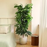 BLAINE | Mango 150cm | Plantas Artificiales Decorativas | Planta Artificial Grande | Plantas Artificiales para Interior/Exterior | Planta Artificial Realista Decorativa para Casa