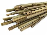 CULTIVERS Tutores para Plantas de Caña Bambú 180 cm (Ø14/16 mm). Pack 30 Unidades. Tutor para Tomates, huerto, árboles y Todo Tipo de Plantas. Varillas para Plantas. Bambú Natural