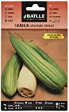 Semillas Batlle Calabaza LUFFA planta Esponjas