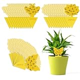VFANDV 60 Piezas Trampas para Insectos, Trampas Adhesivas para Moscas de la Fruta Pegatinas Adhesivas de Doble Cara Papeles Pegajosos Amarillos Trampas de Moscas Atrapa Moscas