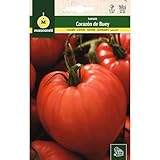Mascarell Semillas, TOMATE, Semillas Huerto, TOMATE CORAZÓN DE BUEY, Crea tu Propio Huerto Urbano y Cultivo en Casa, Plantas Hortícolas, 1 Gramos