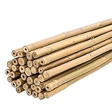 PLANTAWA Tutores de Bambú 90 cm Paquete 25 Unidades Ø 10-12 mm | Soporte para Plantas, Hortalizas, Tomates y Tomateras | Tutores para Plantas de Instalación Fácil. Cañas de bambú Resistentes