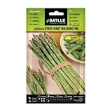 Semillas Batlle Esparrago Verde MARY WASHINGTON