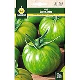 Mascarell Semillas, TOMATE, Semillas Huerto, TOMATE GREEN ZEBRA, Crea tu Propio Huerto Urbano y Cultivo en Casa, Plantas Hortícolas, 0,1 Gramos