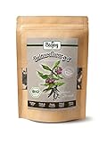 Biojoy Raíz de Consuelda BÍO (100 g), secada y cortada, apto para Té e Infusión (Sympytum officinale)