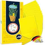 Trampa Cromatica 10x - Insecticida Plantas Interior, insecticida para Plantas, atrapa Moscas, contra los Mosquitos de los Hongos, los pulgones, Las Moscas mineras y Las Moscas Blancas - de pest24