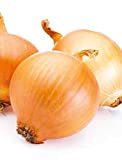 Germisem Valenciana Tardia Semillas de Cebolla 3 g, EC1003