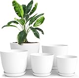 Utopia Home Paquete de 5 macetas 18/17/15/13/12 cm Maceta con platillo para la Cocina, balcón, Plantas de jardín, macetas de vivero de Interior Blanco.