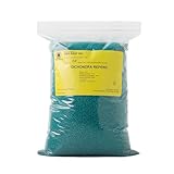 R&R SHOP - Semillas de Césped, Dichondra Repens, Origen USA, Resistentes y Decorativas (200gr - 20mq)