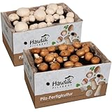 Hawlik Pilzbrut | 2 cultivos de champiñones | Cultivo setas champiñón blanco y marrón pequeño | 2x cultivos de setas mezcla | Cultivarse el Portobello