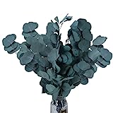RADCANE Flores Secas Naturales Ramas Eucalipto Preservado Ramas Secas Decorativas Hojas Secas Planta Natural Ramo de Flores para Jarrones Interiro Hogar Bodas Fotografía DIY Flores Secas Decoracion