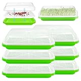 YODITI Bandejas para germinar brotes de berro: 6 unidades de bandeja de semillas para germinar brotes con tapa para hidropónico, bandeja de germinación de semillas grandes, bandeja para germinación de