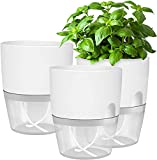 iDattel Juego de 3 macetas para hierbas aromáticas para cocina, 18,2 x 11 x 15,3 cm, para hierbas frescas, color blanco
