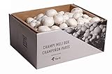 Setas Meli - Kit Autocultivo | Champiñón París, Fresco y Ecológico, con Sustrato Rico en Nutrientes, para los Amantes de la Cocina y la Naturaleza | 7 kg