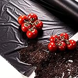 Bricoloco Acolchado para huerto Film de Polietileno Ancho 1 Metro Perforado galga 200 Perforado Especial Cultivo de Tomates.(100 Metros)