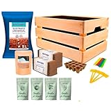 PLANTAWA Kit de Cultivo, Huerto Urbano para Plantar en Casa, Kit de Cultivo Completo, con Semillas de Plantas de Interior, Fabricado en España, Ecológico, Mini huerto niños
