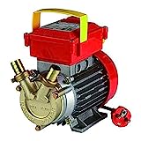 Rover Pompe ROVER 20CE, Bomba de Transferencia Eléctrica Bidireccional. Multicolor, (Ideal para Vino, Agua y Combustible)