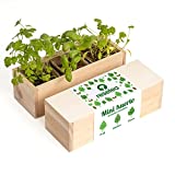 Resetea Minihuerto de hierbas aromáticas