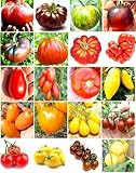200 SEMILLAS DE TOMATE En 20 VARIEDADES RARAS Y NUTRIENTES + PEQUEÑA GUÍA: TOMATE GIGANTE ITALIANO, NERO DE CRIMEA, CEBRA VERDE, ROSA ÍNDIGO, PÚRPURA CHEROKEE, ROMA, SAN MARZANO, BANANA LEGS, etc.