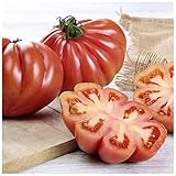 Semillas de Tomate Corazón de Buey para Huerto Urbano Semillas Fáciles de Germinar