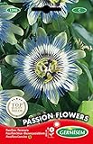 Germisem Passion Flowers Semillas 0.5 g (EC1596)