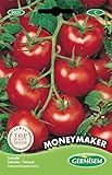 Germisem Moneymacker Semillas de Tomate 1.5 g (EC8021)