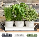 Maceta para hierbas plantas de interior, bandeja – Lote de 3 plantas frescas para cultivar hierbas frescas en casa, jardineras alféizar de la ventana, cocina para albahaca de menta y perejil, flores