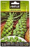 Semillas Batlle - Col Bruselas SANDA