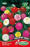 Germisem Lilliput Mix Semillas de Zinnia 1.5 g, EC1621