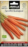 Semillas Batlle Semillas Ecológicas Hortícolas - Zanahoria Nantesa 5 - ECO - Batlle