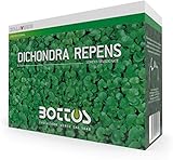 Bottos DICONDRA REPENS, Semillas Dichondra, Alfombra Verde Densa de Bajo Mantenimiento, Ideal para Jardín y Parque, Tipo Macroterm, Dosificación 10-20 g/m², 1 Kg