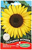 Germisem California Wonder Semillas de Girasol 4 g, EC1530