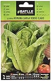Semillas Batlle Lechuga Romana LARGA VERDE