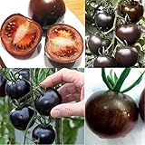 Haloppe 200 piezas de semillas de verduras de tomate para plantar en el jardín del hogar, semillas de tomate, semillas de plantas de verduras dulces para el hogar Negro
