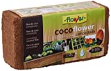Flower Sub COCOFLOWER Taco 9L Pack(24)