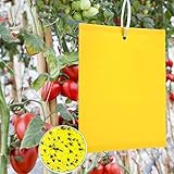 Panngu 50 Piezas Trampas de Insectos de Doble Cara, Papeles Pegajosos Amarillos para Moscas, Pulgones, Mineros de Hojas, Polillas,15x20cm