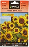 Semillas Batlle Girasol Wahoo Amarillo