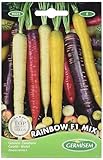 Germisem Rainbow F1 Mix Semillas de Zanahoria 1 g, EC9025