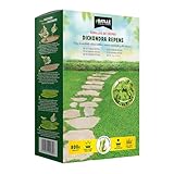 Semillas Batlle Césped Dichondra Repens - 800g