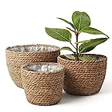 La Jolíe Muse Cesta de Plantas de Hierba Marina en el Interior y en el Exterior, Cubierta de Macetas, Contenedores de Plantas, Natural (3-Pack), 26cm+22cm+16cm