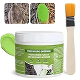 Allisway Pasta Cicatrizante para Arboles, Pasta Cicatrizante Poda, Sellador de Poda de Heridas de Árboles, Apto para Árboles Frutales, Arbustos, Bonsái, Acelerar Cicatrización de Heridas, 300 g
