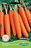 Germisem Nantes Semillas de Zanahoria 10 g (EC9022)