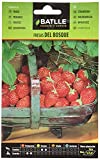 Semillas Batlle Fresas de Bosque